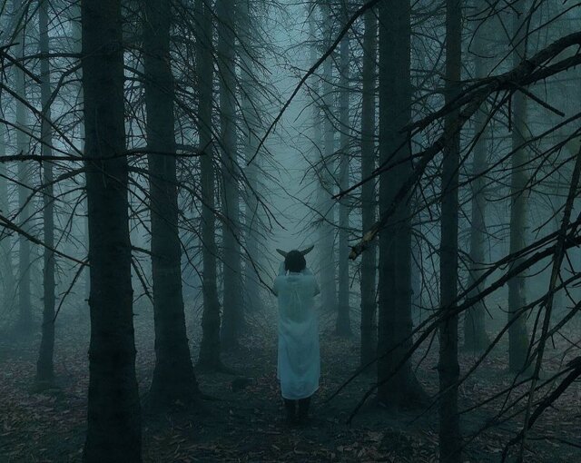 هجوم از بندرانزلی به نیویورک رفت