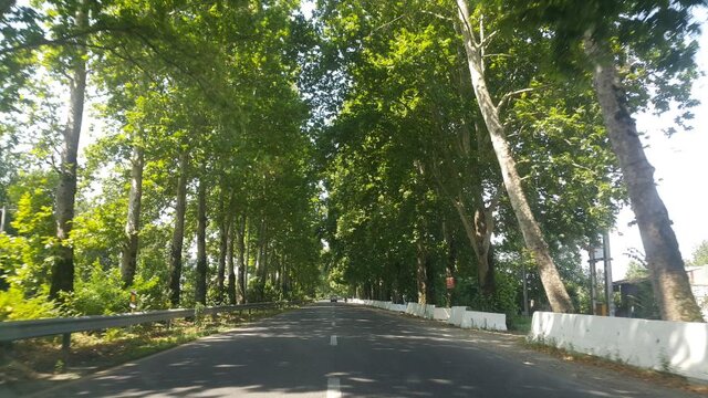 سفر به قلعه هزار پله با عطر کلوچه فومن