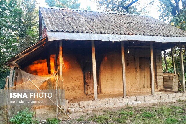 سفر به سرزمین تاریخی کوهدم همراه با عطر برنج دودی