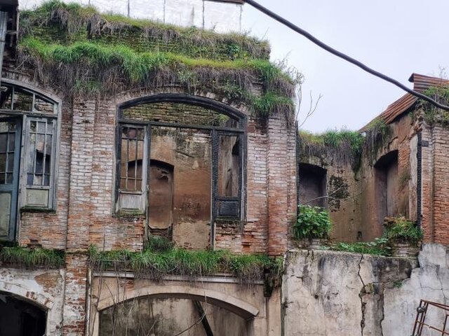 در آسمان «سعادت»،«همایی» نیست