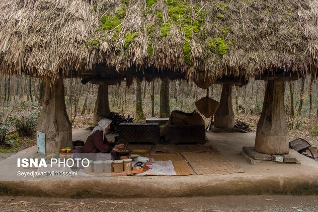 سفر به تنها اکوموزه ایران در دل جنگلهای سراوان
