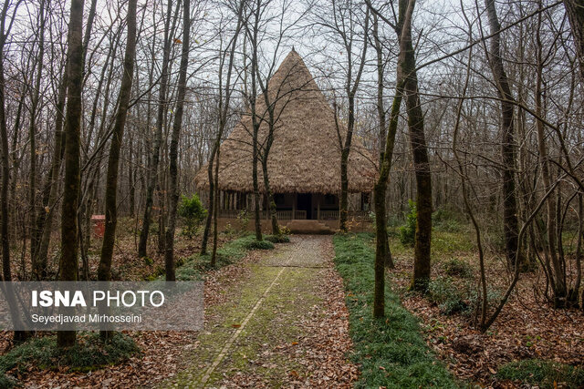 سفر به تنها اکوموزه ایران در دل جنگلهای سراوان