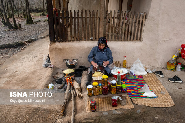 سفر به تنها اکوموزه ایران در دل جنگلهای سراوان