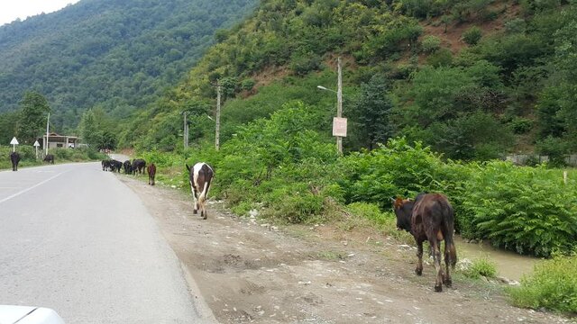 بر فراز ابرها در ییلاق سوئه چاله و خرید از روستای ملی چوب تراشان