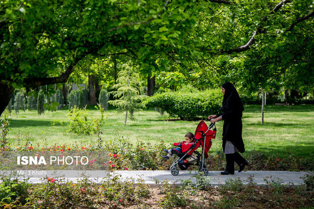 کمیسیون ماده ۵، مانع تغییر کاربری فضای سبز رشت شود