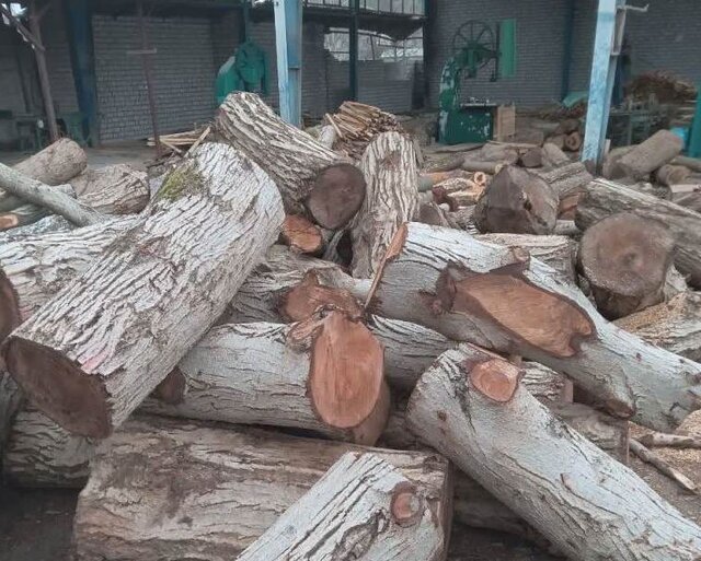 کشف ۱۵ تن چوب قاچاق در شهرستان الیگودرز کشف ۱۵ تن چوب قاچاق در شهرستان الیگودرز