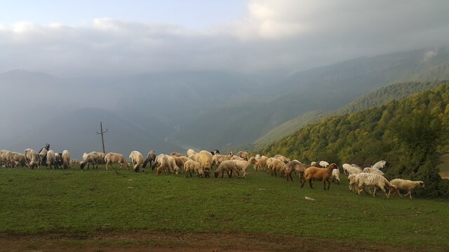 بر بلندای قلعه صلصال تا سورتمه سواری در جنگل های سیاه داران