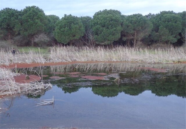 بر بلندای قلعه صلصال تا سورتمه سواری در جنگل های سیاه داران