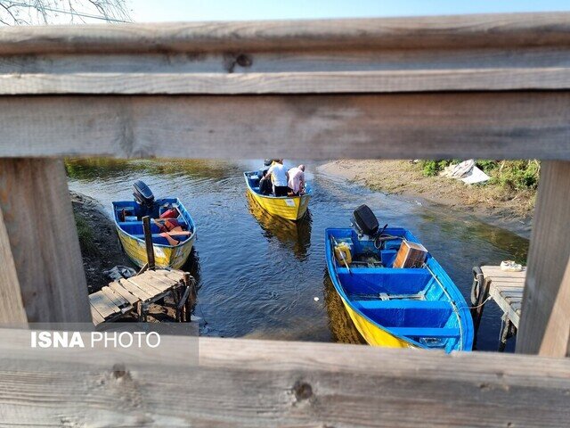 پیاده روی بر پل چوبی کیاشهر و زیارت مزار دکتر محمدمعین