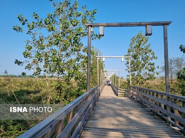 پیاده روی بر پل چوبی کیاشهر و زیارت مزار دکتر محمدمعین