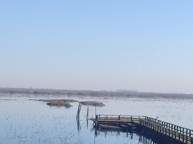 پناهگاه حیات وحش سلکه؛ تالابی دائمی با آب شیرین