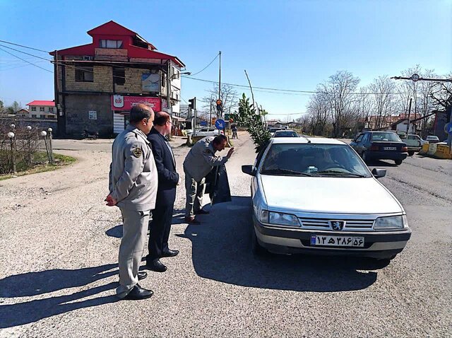 توزیع بستههای محیط زیستی در روز انس با طبیعت در ماسال