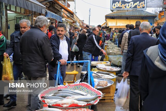 بازار ماهی فروشان رشت و تب خرید ماهی سفید در آخرین روزهای صید