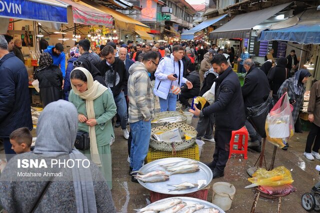 بازار ماهی فروشان رشت و تب خرید ماهی سفید در آخرین روزهای صید