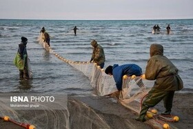 تمدید فصل صید برای پره‌های فعال گیلان