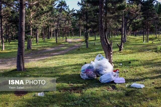 گم شدن بهار گیلان در انبوه زباله گردشگران +ویدئو