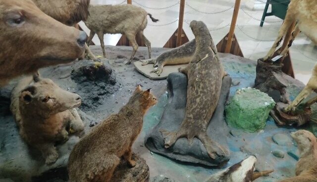 بازدید رایگان از موزه تاریخ طبیعی محیط زیست گیلان در روز ملی موزهها