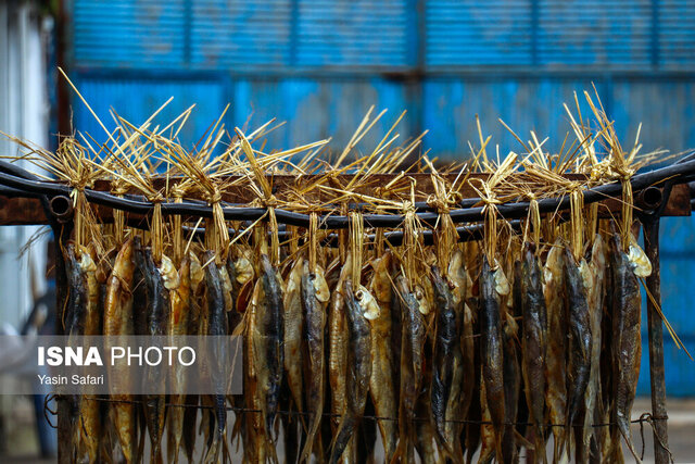 بوی تند ماهی دودی وسط سفره نو میپیچد