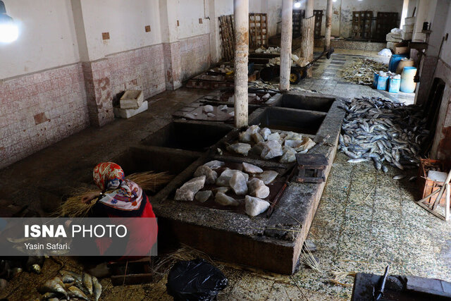 بوی تند ماهی دودی وسط سفره نو میپیچد