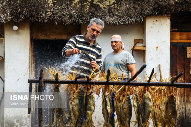 بوی تند ماهی دودی وسط سفره نو میپیچد