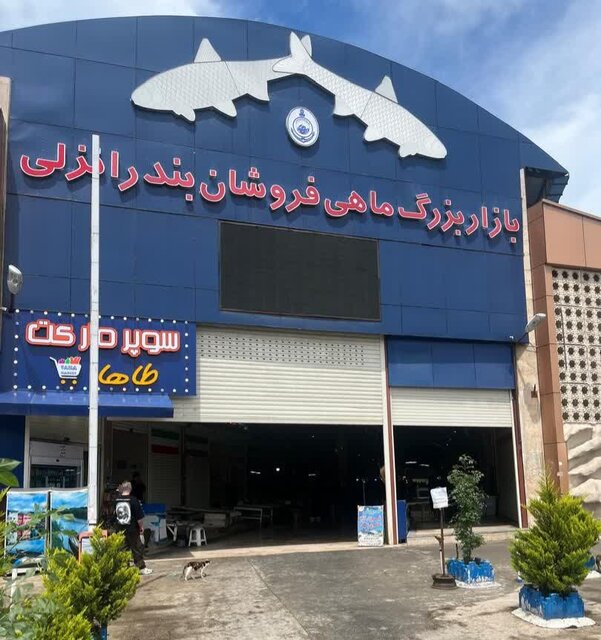 قیمت ماهی در بندرانزلی چطور محاسبه میشود؟