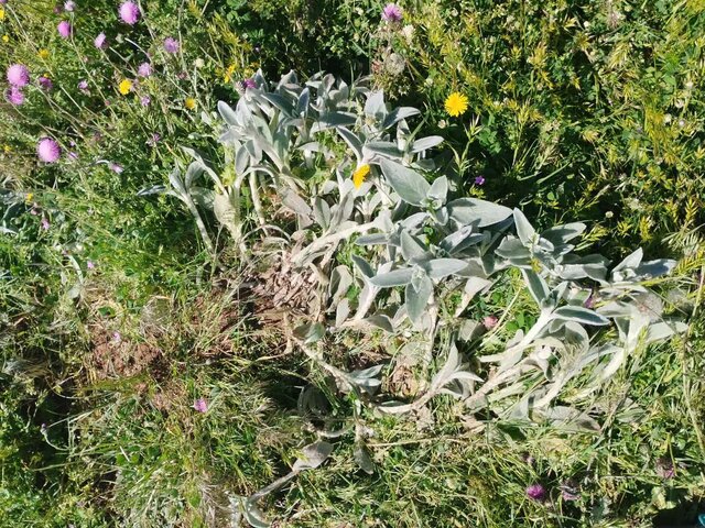 با دستور قضایی ورود گردشگران به مناطق بکر رودبار ممنوع شد با دستور قضایی ورود گردشگران به مناطق بکر رودبار ممنوع شد