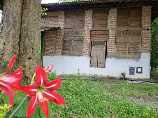 شمسههای هنر دست نجاران گیلانی روایتگر معماری بومی بناهای مذهبی