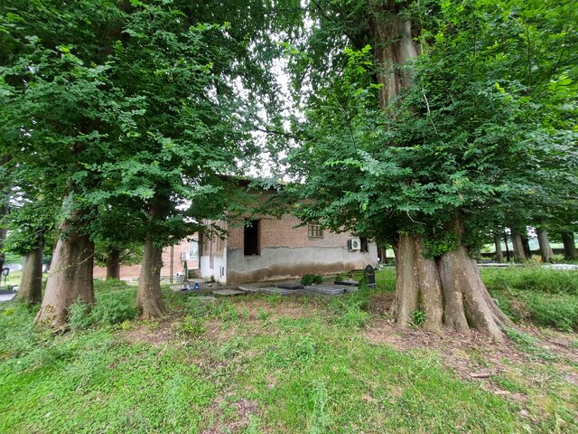 شمسههای هنر دست نجاران گیلانی روایتگر معماری بومی بناهای مذهبی