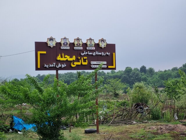 توت فرنگی های ارگانیک گیلان؛ از سیدشت تا صوفیانده