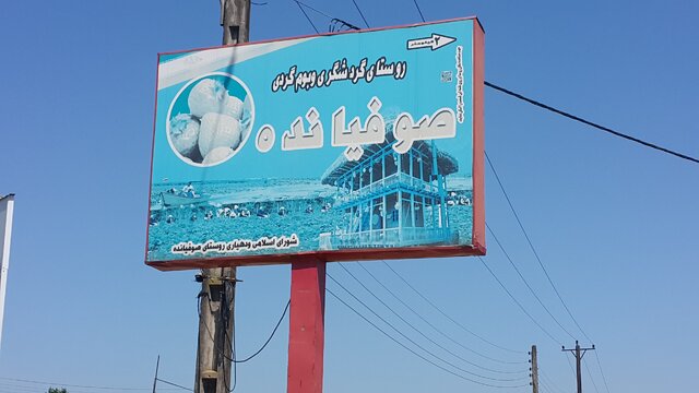 توت فرنگی های ارگانیک گیلان؛ از سیدشت تا صوفیانده