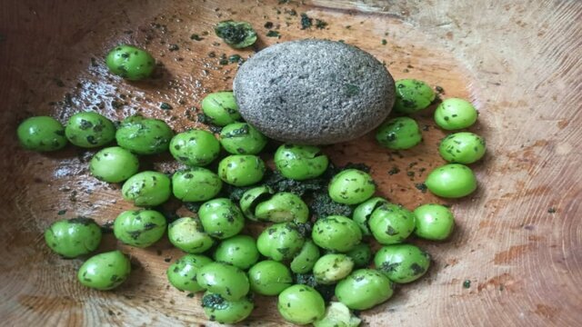 شرجی گیلان و بهارانههایی همچون؛«خالی دِشکن» و «آبغوره درار»