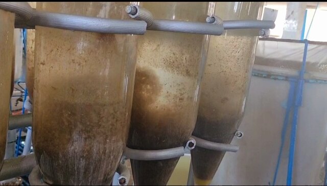 ۲۰۰ میلیون بچهماهی در سواحل گیلان رهاسازی میشوند