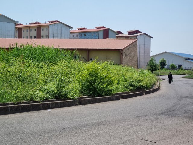 آسفالت معابر اصلی شهرک مهر رشت ادامه مییابد