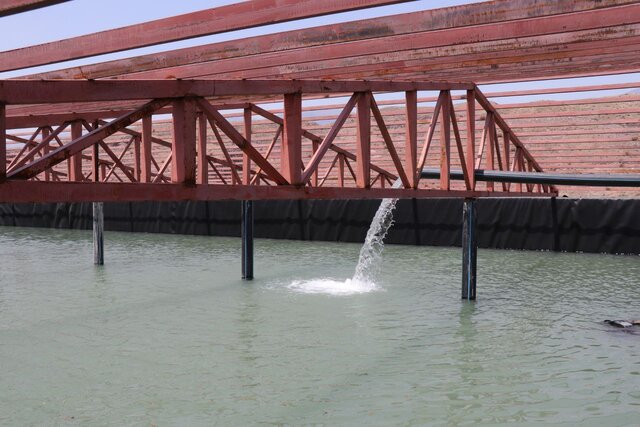 اقدامات شایستهای برای مبارزه با آفت ملخ مراکشی در رودبار انجام گرفت