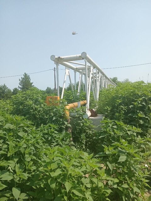 بهرهمندی ۸۴ خانوار روستای مرادگوده بندرانزلی از نعمت گاز