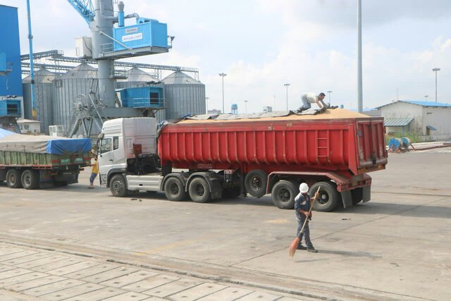 تخلیه محموله گندم در مجتمع بندر انزلی در راستای پدافند غیر عامل