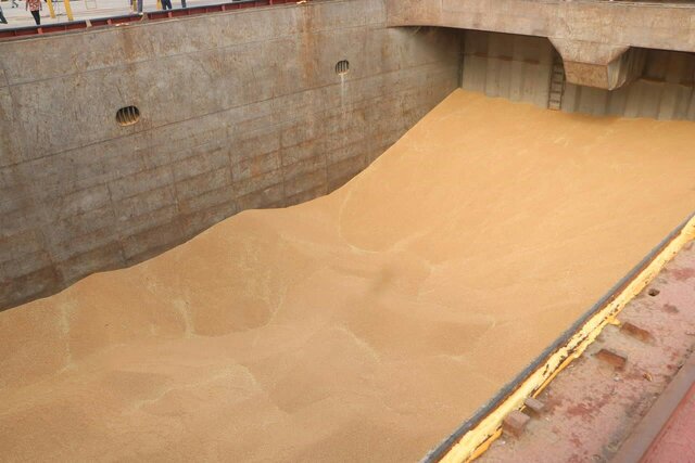 تخلیه محموله گندم در مجتمع بندر انزلی در راستای پدافند غیر عامل