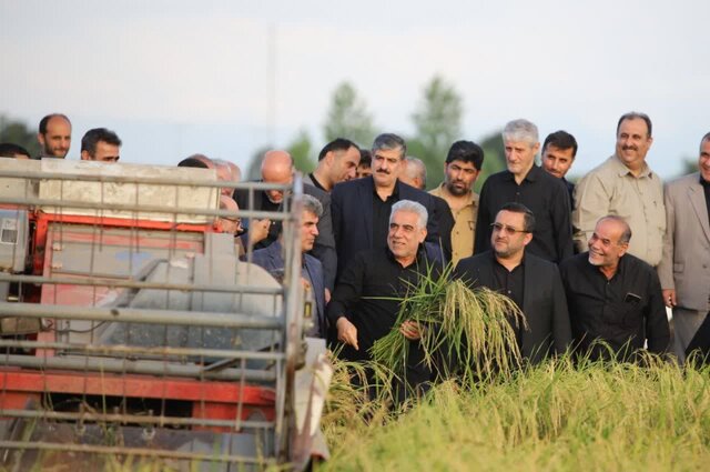 ثبت سفارش واردات برنج تا آذرماه انجام نمی شود