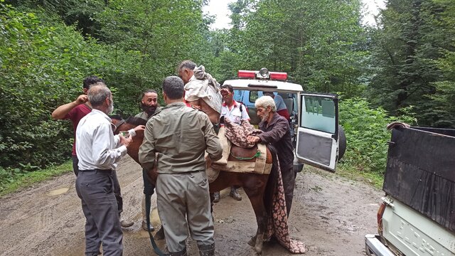 حمله خرس به محیطبان سیاهکلی