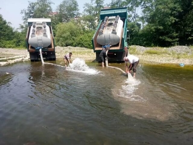 بیش از ۹۰ میلیون بچه ماهی در مصب رودخانههای گیلان رها شدهاند