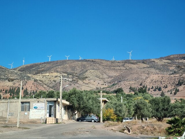 سرو ۱۰۰۰ ساله هرزویل، اثری ملی و سمبل آزادگی گیلان