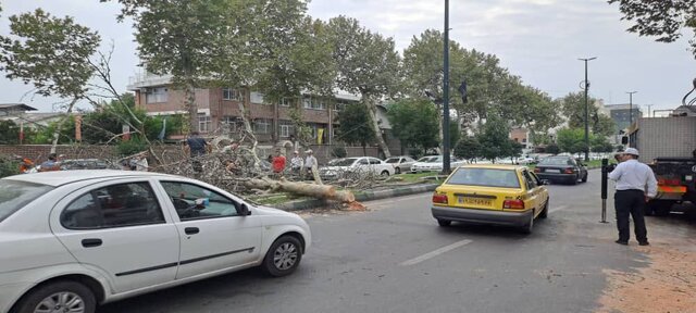 آتشسوزی در محله قدیمی تا آتش گرفتن تابلوی برق در مسکن مهر رشت