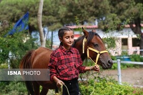 مسابقه «بارل» با اسب کاسپین به میزبانی تالش برگزار می شود