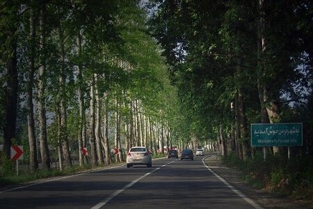 دستگاههای اجرایی به مصاف پروانه تونل سبز فومن میروند دستگاههای اجرایی به مصاف پروانه تونل سبز فومن میروند