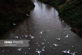 پیشرفت ۸۵ درصدی بهسازی لندفیل سراوان/ رفع ۱۷ منشاء آلودگی رودخانه های رشت