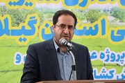 احیا و بازسازی ۳۰۰ هزار هکتار اراضی تخریب‌شده طی سه سال