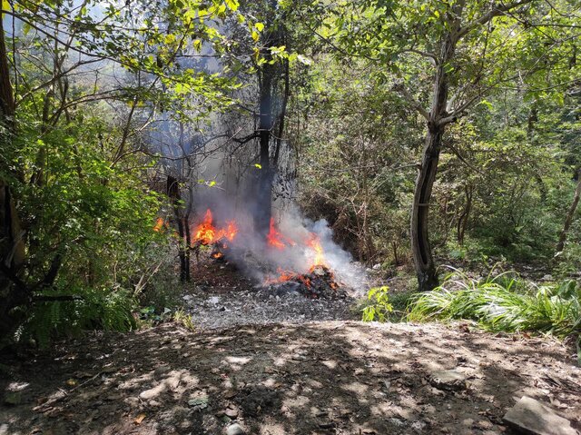 ۵۰ درصد آتش سوزیهای رشت متعلق به سوزاندن علفزارهاست