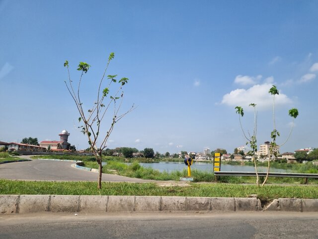 کوچه های محله «صف سر» آسفالت می شود