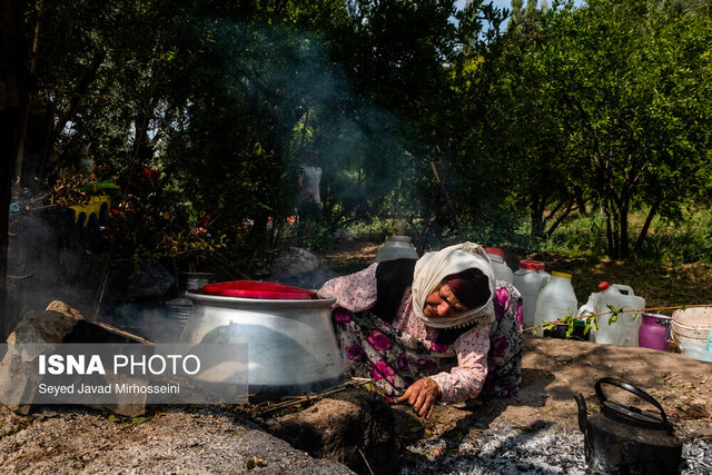 ترش و شیرین انار در سفرههای گیلان