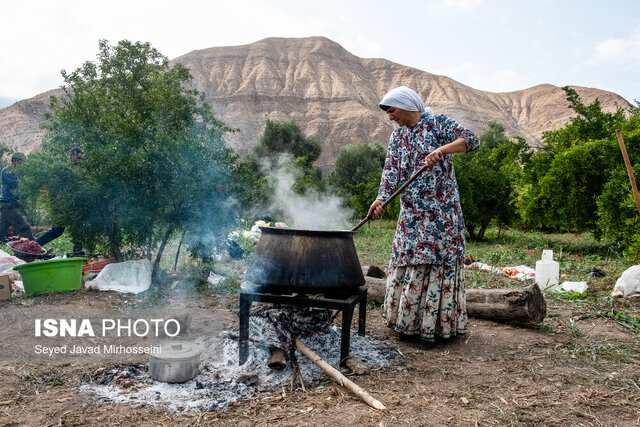 ترش و شیرین انار در سفرههای گیلان